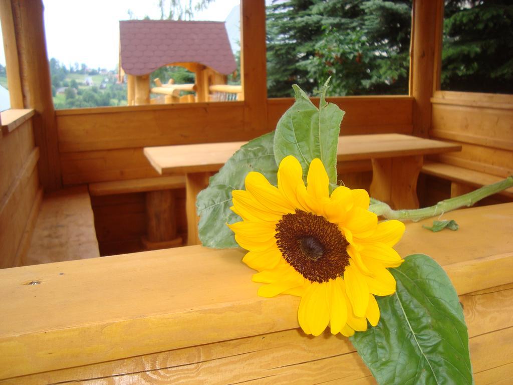 Apartamenty I Pokoje Pod Limbami - Sauna, Teznia บุโควินา ทัตซานสกา ภายนอก รูปภาพ